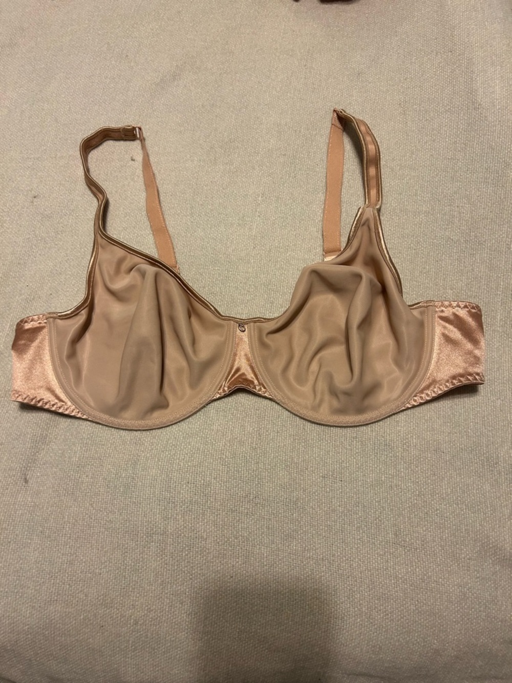 Empreinte Iva bra 40C